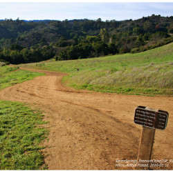 Stevens Creek Trail Update