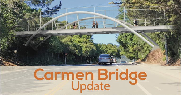 Carmen Bridge feasibility study approved by council!