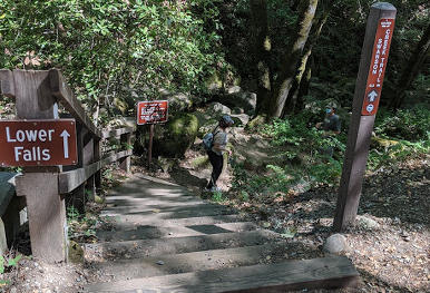 Uvas canyon park clearance camping