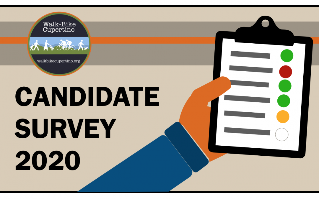 FAQs on our 2020 Candidate Survey
