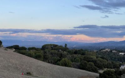 Fremont Older Open Space