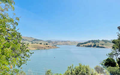 Trail Review: Calero County Park