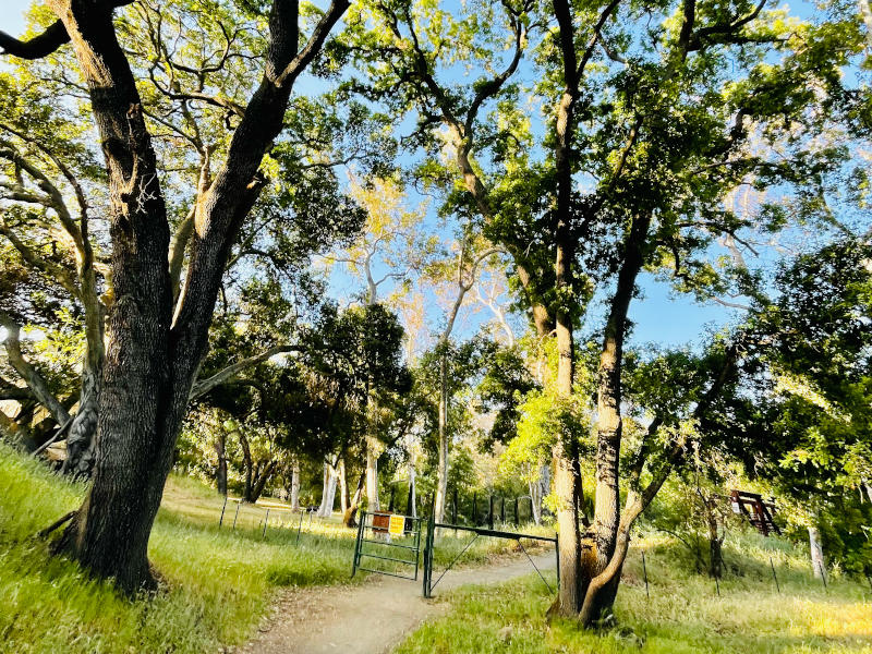 Calero county park online mountain biking