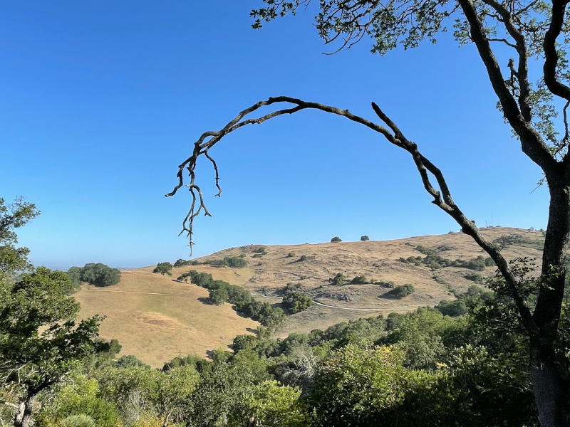 Calero county discount park mountain biking