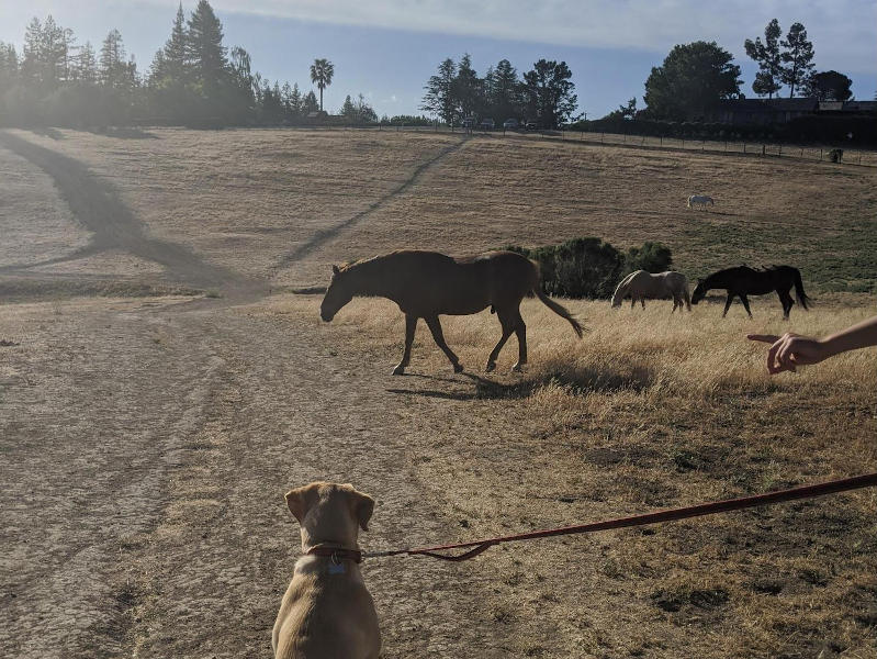 Trail Review: Byrne Reserve Hiking Trail