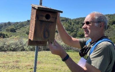 Turn a Chore into Fun by Walking, Biking and Birding