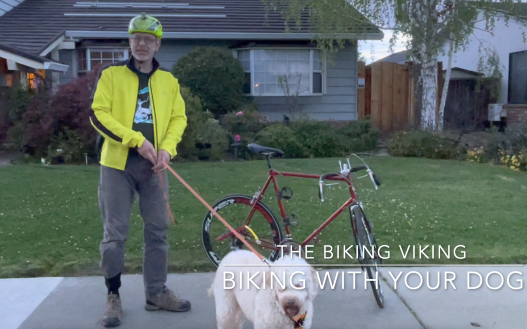 The Biking Viking – Go Biking With Your Dog