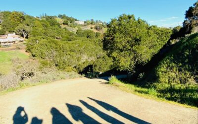 Hiking Makes My Life Better and Healthier