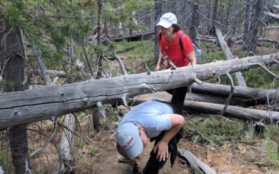 Stay Safe and Keep Moving on Hiking Trails