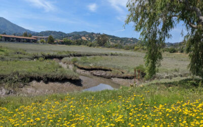 Summer Fun Hikes in Marin County