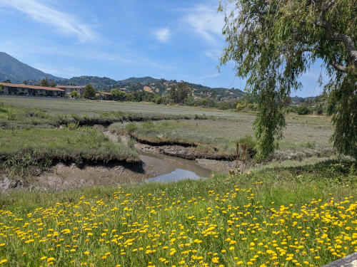 Summer Fun Hikes in Marin County