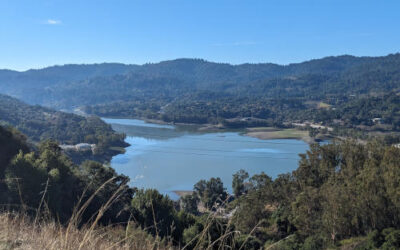 St. Joseph’s Hill Preserve: All Trails Dog-friendly with Magnificent Views