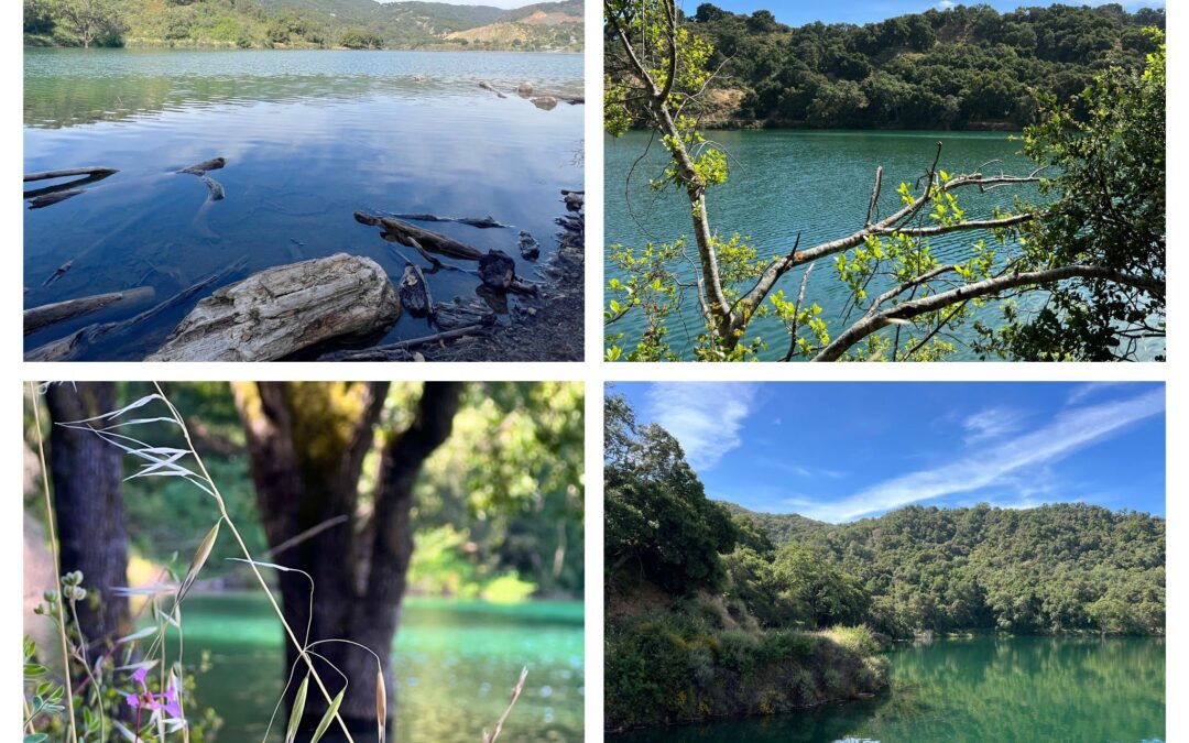 Stevens Creek County Park: 100 Years of Recreation and Preservation