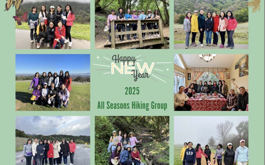 All Seasons Hiking Group: Exercise, Connect & Recharge