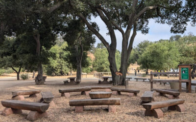 Guadalupe Oak Grove and Jeffrey Fontana Parks: Preserving Native Ecosystems