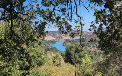 Picchetti Ranch Preserve