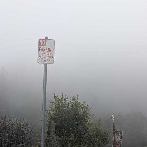 peters_creek_No_parking_sign