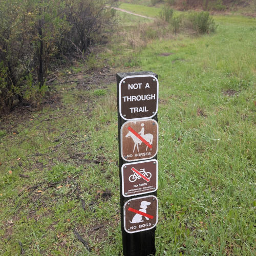peters_creek_No_signs