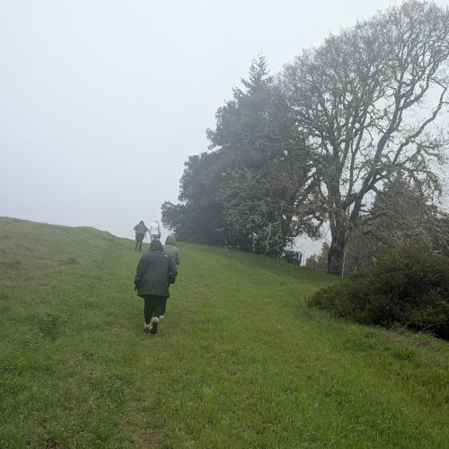 peters_creek_grassland
