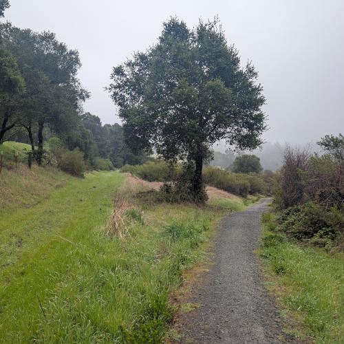 peters_creek_gravel_path