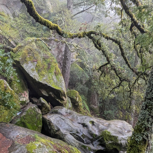 peters_creek_rocks