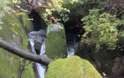 Hidden Waterfalls in Redwoods