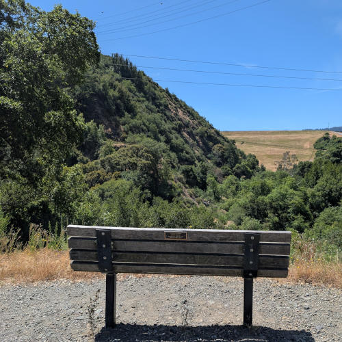 jones_bench_view