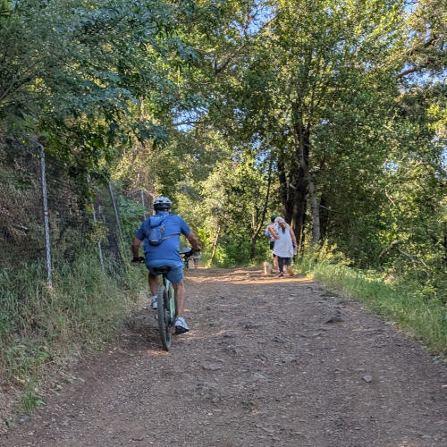 jones_hill_bike