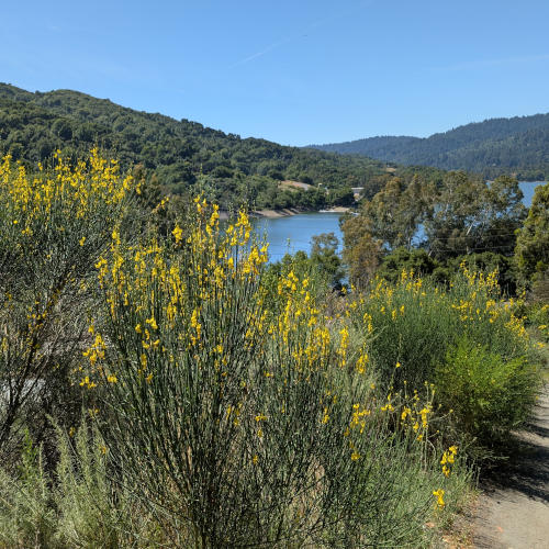 jones_view_reservoir