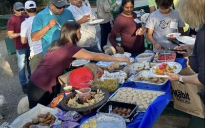 Summer Fun at a DOLA Potluck