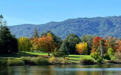 Autumn Escape to Vasona Lake County Park