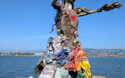 From Rubble to Refuge: The Remarkable Story of Albany Shoreline