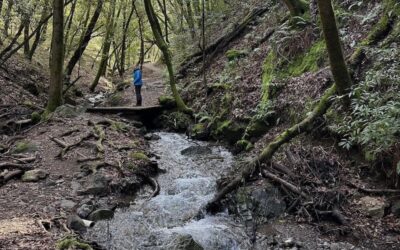 Enjoy hikes for all ages at Hidden Villa