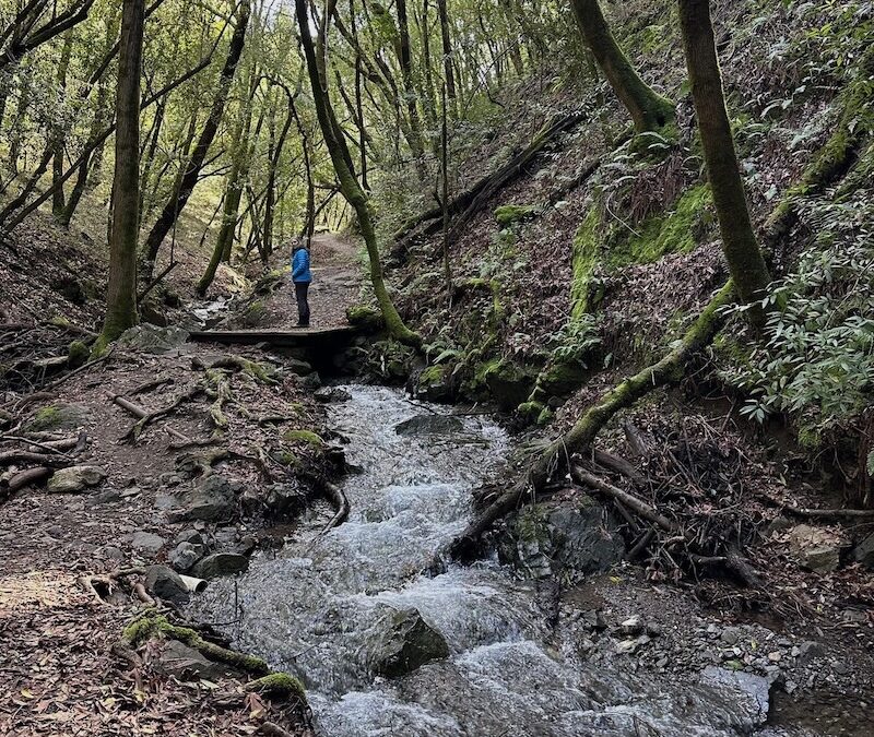 Enjoy hikes for all ages at Hidden Villa